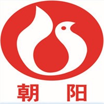 朝陽(yáng)泵業(yè)QZ軸流、QH混流潛水電泵